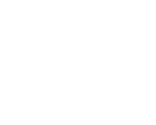 Amir Khan Foundation